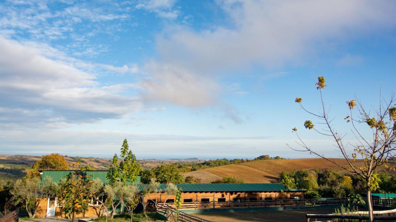3 Hills Boutique - The Ranch Experience Hotel Trilofos Buitenkant foto