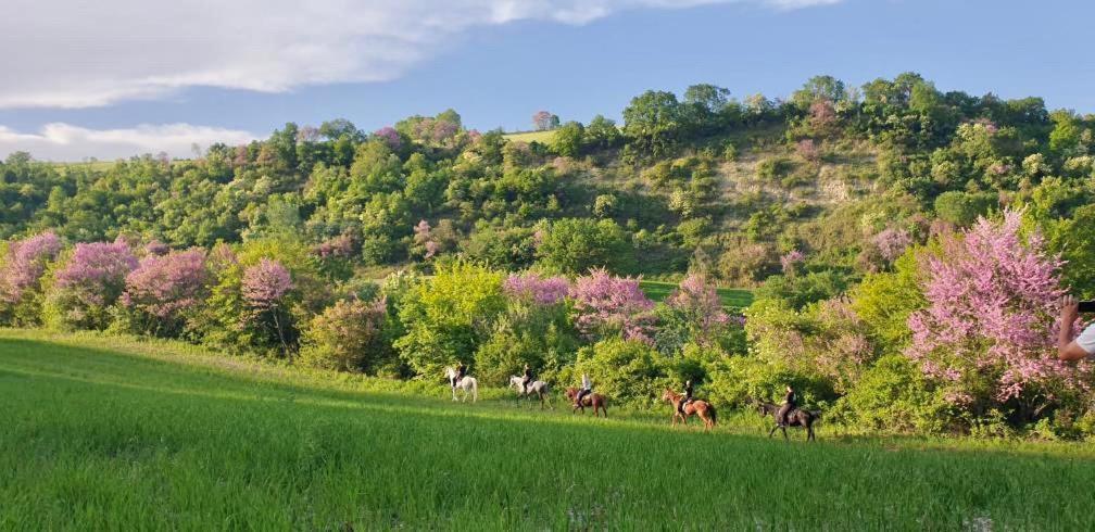 3 Hills Boutique - The Ranch Experience Hotel Trilofos Buitenkant foto